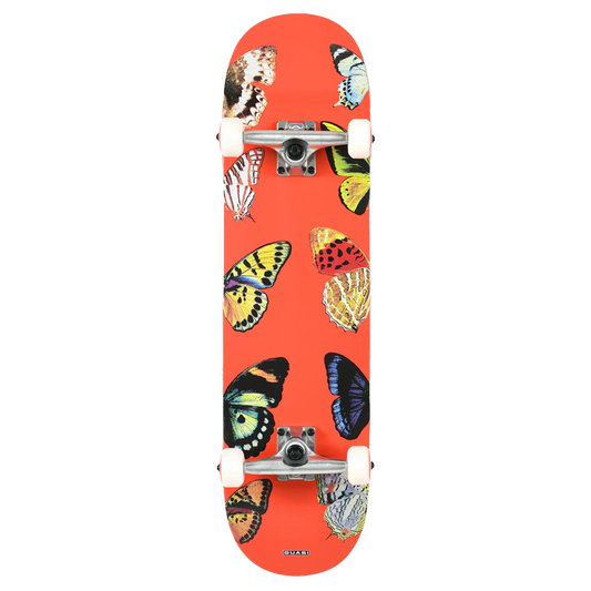 Butterfly Complete 2024